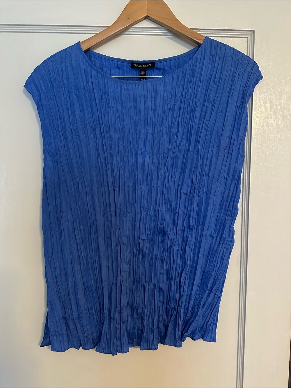 Eileen Fisher Ultramarine Blue Crushed Silk Top szM